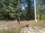 Perkinston, Pearl River County, MS Undeveloped Land for sale Property ID: