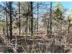 Antlers, Pushmataha County, OK Recreational Property, Undeveloped Land