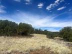 Concho, Apache County, AZ Homesites for sale Property ID: 417803012