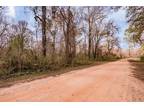 Lot 490-491 Lakeview Dr, CLEVELAND, TX 77327