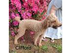 Clifford