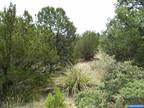Mimbres, View lot overlooking the Valley. Close to