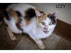 Izzy (fcid# 01/15/2024 - 76 Trainer) C, Calico For Adoption In Greenville