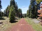 0 BIGHORN RD # -000, Alturas, CA 96101 Land For Rent MLS# 230023132