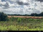 Hawthorne, Alachua County, FL Undeveloped Land for sale Property ID: 415630866