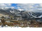 550 Huckleberry, Steamboat Springs, CO 80487 - MLS 9940924