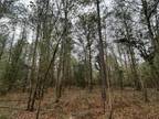 Ruffin, Colleton County, SC Undeveloped Land, Homesites for sale Property ID: