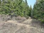 Hayden, Kootenai County, ID Undeveloped Land for sale Property ID: 416856731