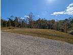 Wedowee, Randolph County, AL Undeveloped Land, Homesites for sale Property ID: