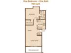 Concord Square Apartments - 1 Bed/1 Bath