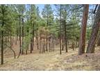 4631 N CREEKSIDE LN # 1, Flagstaff, AZ 86001 Land For Sale MLS# 194405