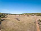 TBD VIP ROAD, Hermosa, SD 57744 Land For Sale MLS# 75050
