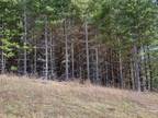 Lot 8 Alta Vista Ln, Sparta, NC 28675 - MLS 1064707