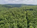 Stewartstown, Coos County, NH Undeveloped Land for sale Property ID: 417196510