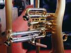 CarolBrass Flugelhorn CFL-6200-GSS(Euro)-Bb-SLB -Superb Condition