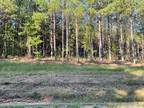 Plot For Sale In Conway, Arkansas