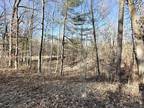 Plot For Sale In Newaygo, Michigan