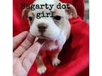 Hagarty dotty girl