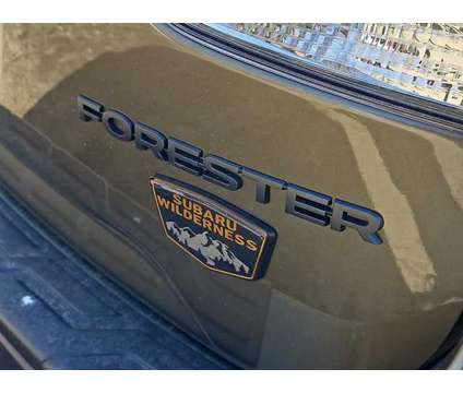 2024 Subaru Forester Wilderness is a Green 2024 Subaru Forester 2.5i Car for Sale in Shrewsbury MA