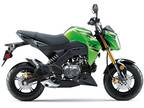 2024 Kawasaki Z125 Pro