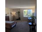 Rental listing in Marina del Rey, West Los Angeles. Contact the landlord or