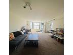 Rental listing in Western Addition, San Francisco. Contact the landlord or