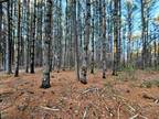 Wisconsin Dells, Adams County, WI Undeveloped Land, Homesites for sale Property