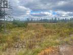 136333 Peter'S Pond, Botwood, NL, A0H 1E0 - vacant land for sale Listing ID