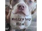Molly's slim stripe boy