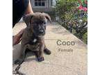 Coco