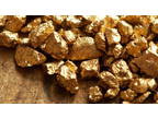 Business For Sale: Gold Digging Sponsorship