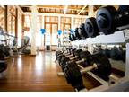 Business For Sale: Gym