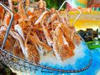 Business For Sale: Seafood Restaurant For Sale