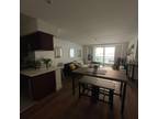 Rental listing in Santa Monica, West Los Angeles. Contact the landlord or