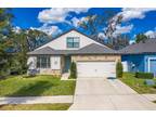 11220 Paddock Manor Ave, Riverview, FL 33569
