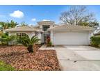 4303 Ave Cannes, Lutz, FL 33558