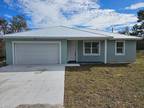 1749 Arline St, Orange City, FL 32763