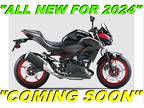 2024 Kawasaki Z500 SE ABS
