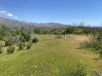 Shasta, Shasta County, CA Undeveloped Land for sale Property ID: 418493285