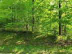 Athelstane, Marinette County, WI Undeveloped Land for sale Property ID:
