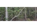0 BRETT FOREST DRIVE, JACKSONVILLE, FL 32222 Land For Sale MLS# O6175557
