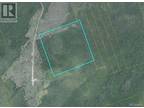 50 Acres Route 117, Hardwicke, NB, E9A 1L6 - vacant land for sale Listing ID