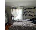 Furnished Somerville, Boston Area room for rent in 5 Bedrooms