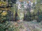 Plot For Sale In Amberg, Wisconsin