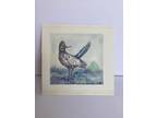 Vintage Watercolor Roadrunner Painting Bird Small Nature