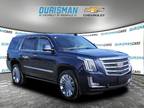 2019 Cadillac Escalade Platinum