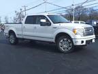 2010 Ford F-150 Platinum