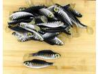 (30) Luck-E-Strike Shad Minnow Swimbait 5" White Black Bulk Lot New