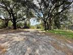 Eustis, Lake County, FL Undeveloped Land, Homesites for sale Property ID: