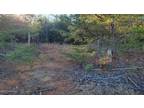 Goldston, Moore County, NC Undeveloped Land for sale Property ID: 418477654